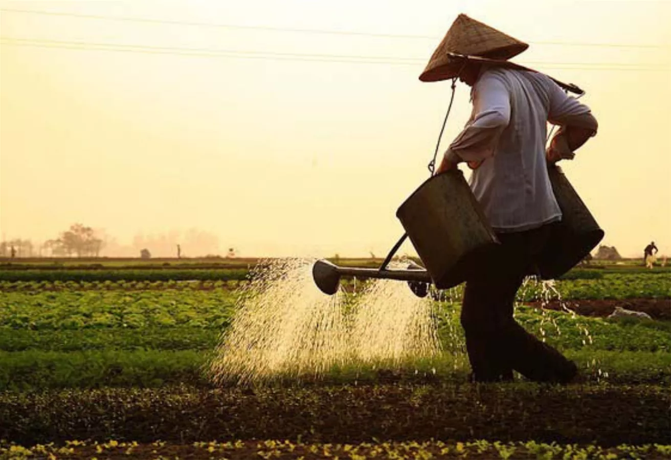 Tour 5 ngày đầy trải nghiệm | tham quan sài thành - mekong delta - mui ne 